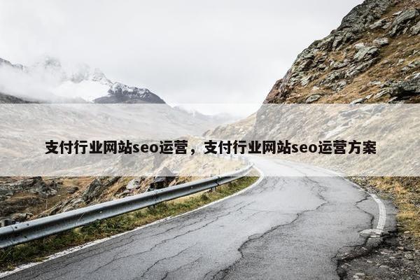 支付行业网站seo运营，支付行业网站seo运营方案
