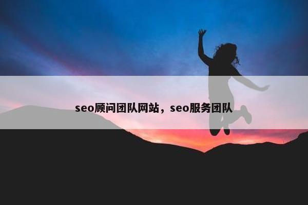 seo顾问团队网站，seo服务团队