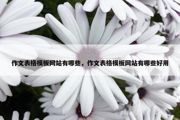 作文表格模板网站有哪些，作文表格模板网站有哪些好用