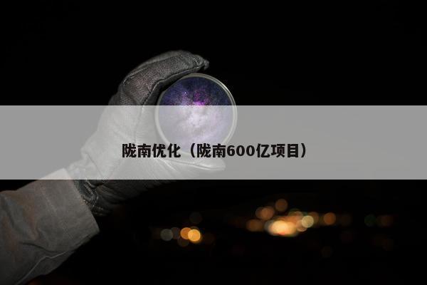 陇南优化（陇南600亿项目）