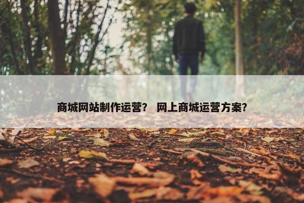 商城网站制作运营？ 网上商城运营方案？