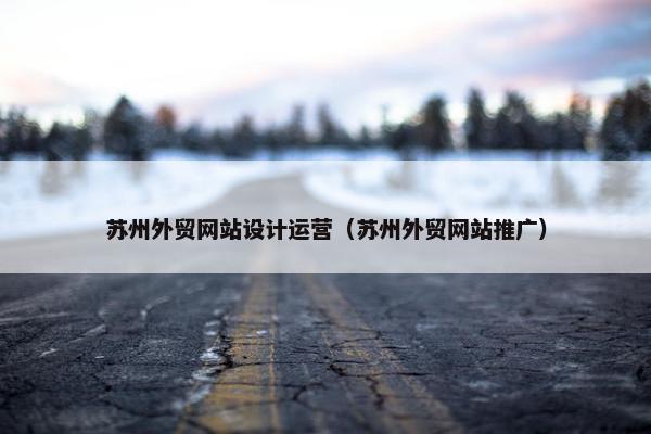 苏州外贸网站设计运营（苏州外贸网站推广）
