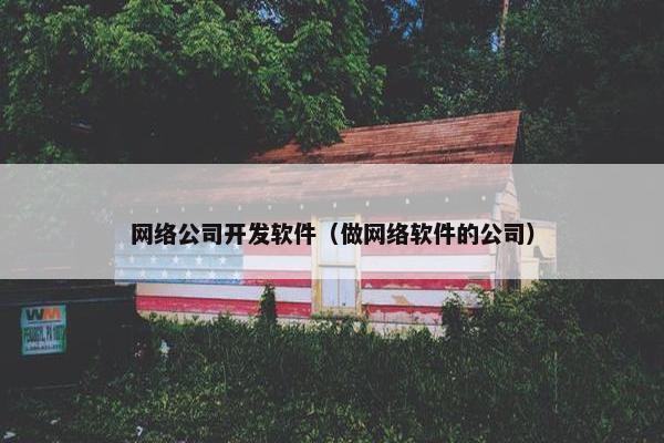 网络公司开发软件（做网络软件的公司）