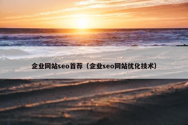 企业网站seo首荐（企业seo网站优化技术）
