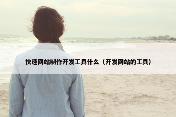 快速网站制作开发工具什么（开发网站的工具）