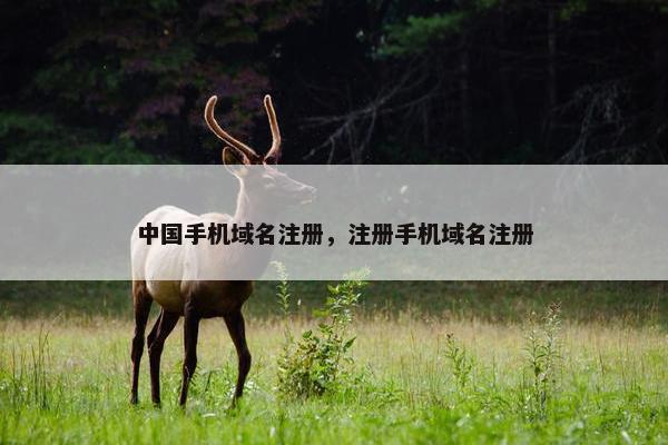 中国手机域名注册，注册手机域名注册
