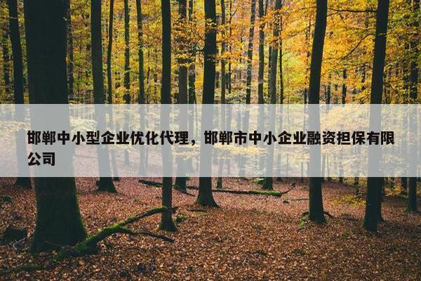 邯郸中小型企业优化代理，邯郸市中小企业融资担保有限公司