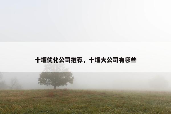 十堰优化公司推荐，十堰大公司有哪些