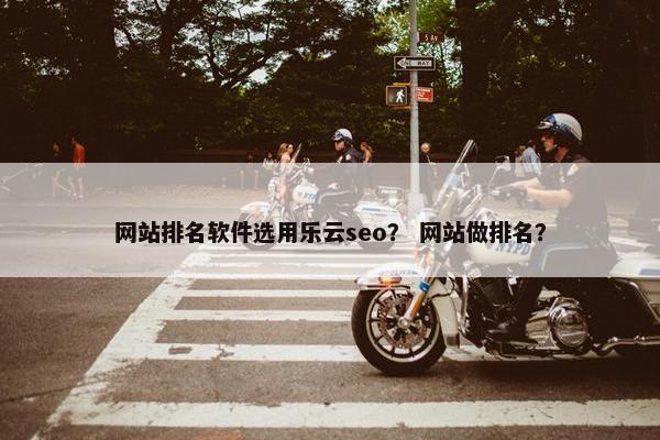 网站排名软件选用乐云seo？ 网站做排名？