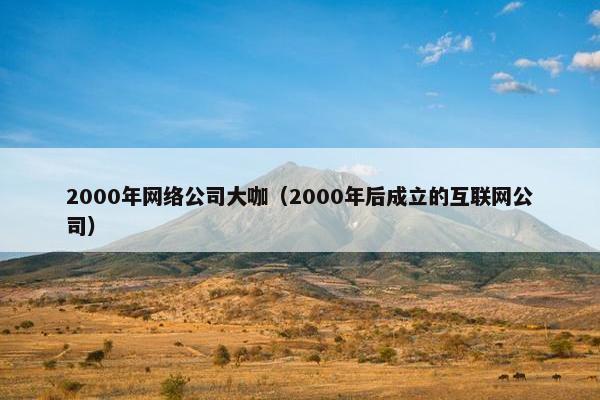 2000年网络公司大咖（2000年后成立的互联网公司）