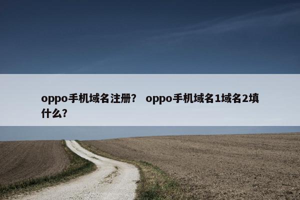 oppo手机域名注册？ oppo手机域名1域名2填什么？