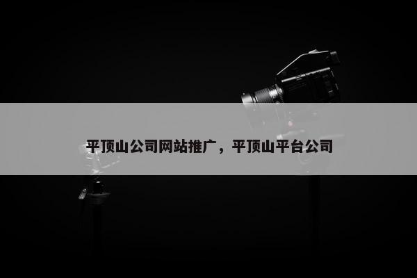 平顶山公司网站推广，平顶山平台公司