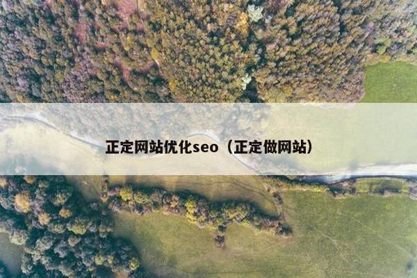 正定网站优化seo（正定做网站）