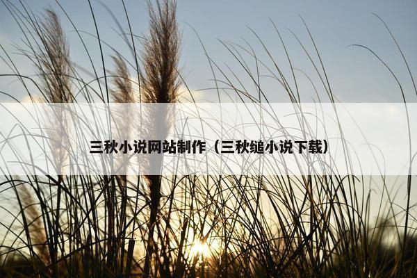 三秋小说网站制作（三秋缒小说下载）