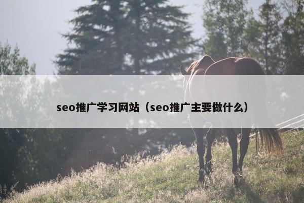 seo推广学习网站（seo推广主要做什么）