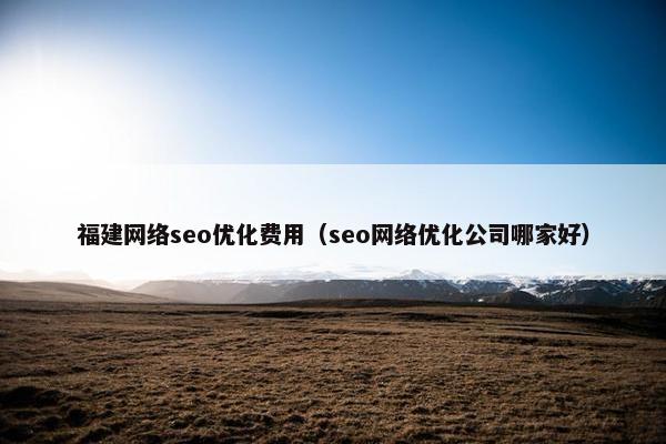 福建网络seo优化费用（seo网络优化公司哪家好）