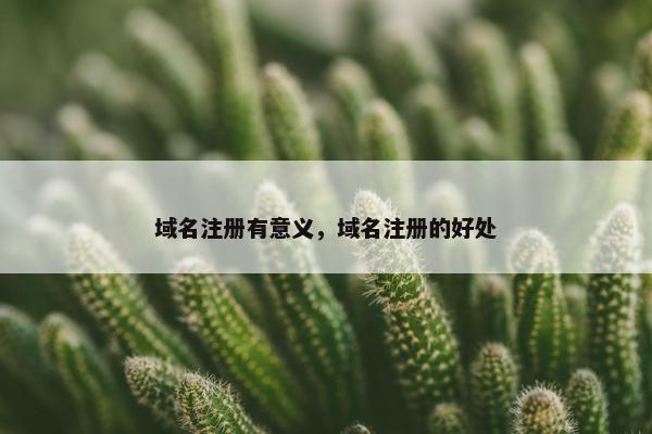 域名注册有意义，域名注册的好处