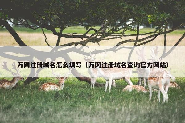 万网注册域名怎么填写（万网注册域名查询官方网站）