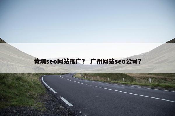 黄埔seo网站推广？ 广州网站seo公司？