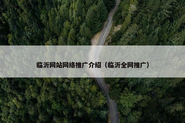 临沂网站网络推广介绍（临沂全网推广）
