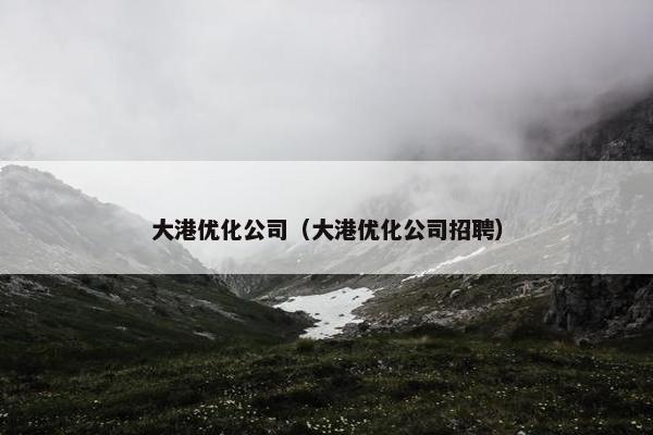 大港优化公司（大港优化公司招聘）