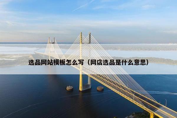 选品网站模板怎么写（网店选品是什么意思）