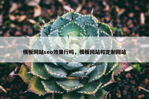 模板网站seo效果行吗，模板网站和定制网站