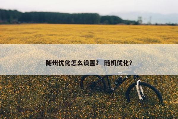 随州优化怎么设置？ 随机优化？