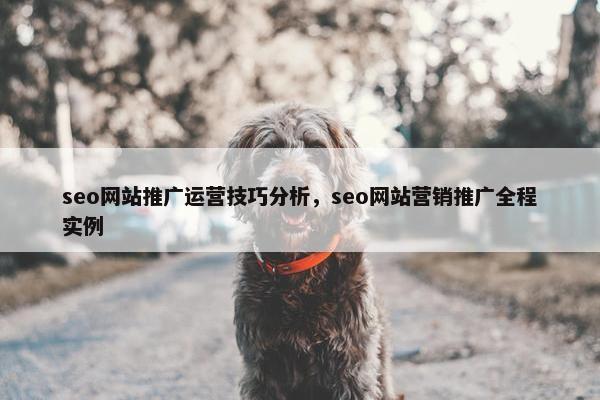 seo网站推广运营技巧分析，seo网站营销推广全程实例
