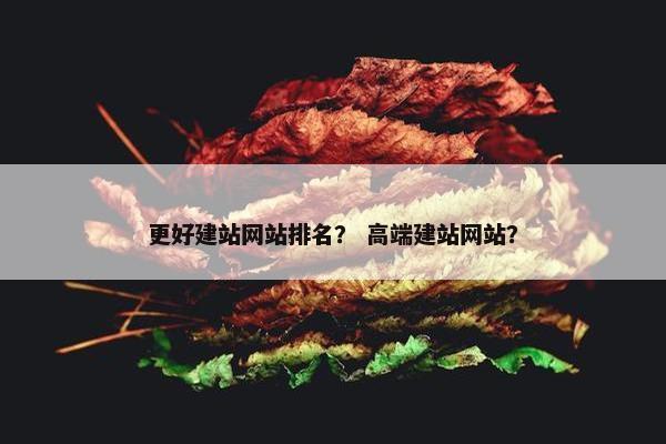 更好建站网站排名？ 高端建站网站？