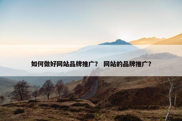 如何做好网站品牌推广？ 网站的品牌推广？