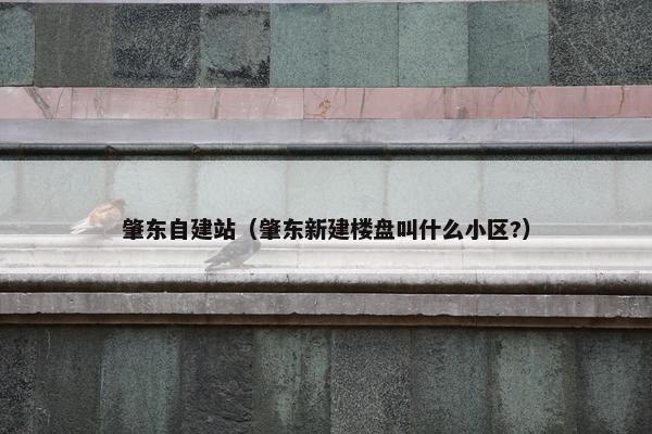 肇东自建站（肇东新建楼盘叫什么小区?）