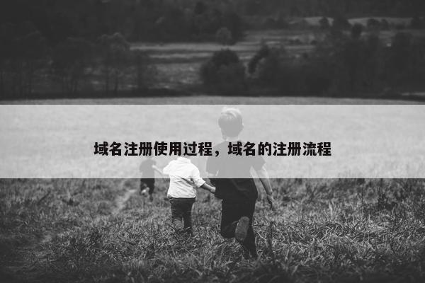 域名注册使用过程，域名的注册流程