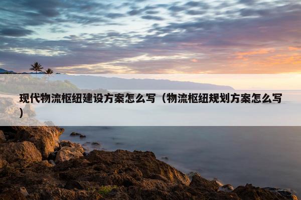 现代物流枢纽建设方案怎么写（物流枢纽规划方案怎么写）