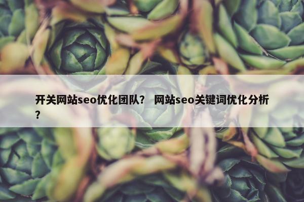 开关网站seo优化团队？ 网站seo关键词优化分析？