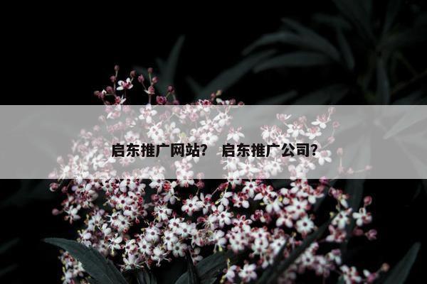 启东推广网站？ 启东推广公司？