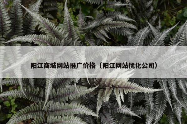 阳江商城网站推广价格（阳江网站优化公司）