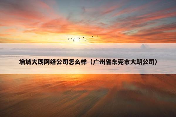 增城大朗网络公司怎么样（广州省东莞市大朗公司）