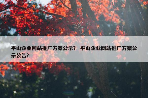 平山企业网站推广方案公示？ 平山企业网站推广方案公示公告？