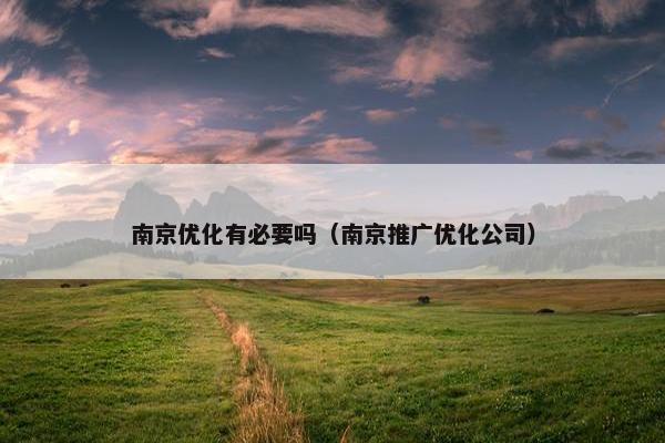南京优化有必要吗（南京推广优化公司）