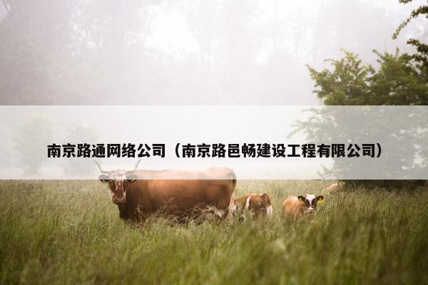 南京路通网络公司（南京路邑畅建设工程有限公司）