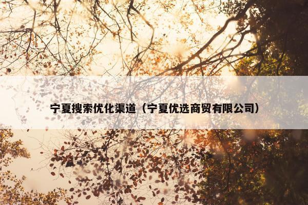 宁夏搜索优化渠道（宁夏优选商贸有限公司）