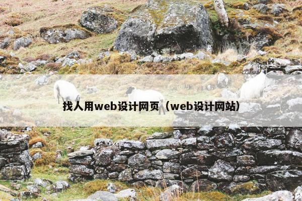 找人用web设计网页（web设计网站）