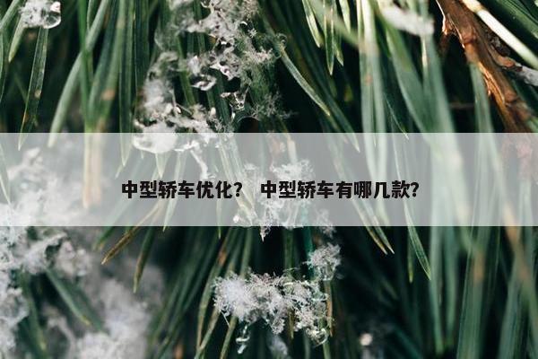 中型轿车优化？ 中型轿车有哪几款？