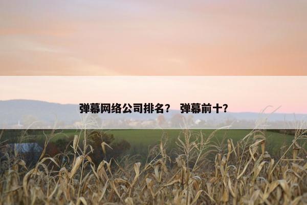 弹幕网络公司排名？ 弹幕前十？