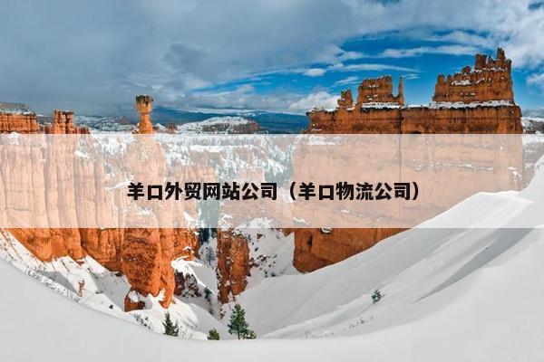 羊口外贸网站公司（羊口物流公司）