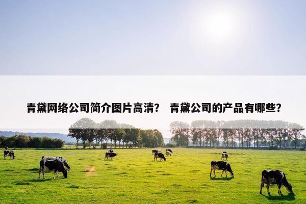 青黛网络公司简介图片高清？ 青黛公司的产品有哪些？