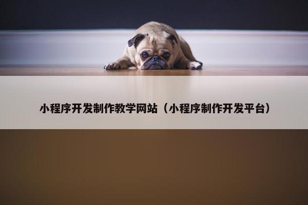 小程序开发制作教学网站（小程序制作开发平台）