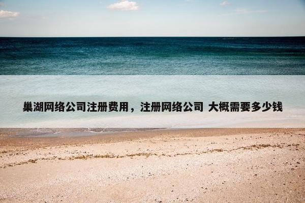 巢湖网络公司注册费用，注册网络公司 大概需要多少钱