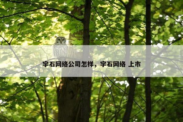 宇石网络公司怎样，宇石网络 上市
